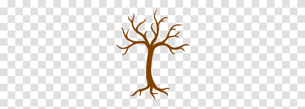 Bare Tree With Roots Clip Art, Plant, Tree Trunk, Palm Tree, Arecaceae Transparent Png