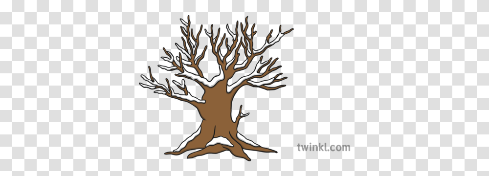 Bare Winter Tree With Snow Illustration Twinkl Winter Tree Illustration, Wood, Antler, Plant, Art Transparent Png