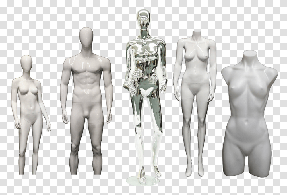 Barechested, Person, Human, Skeleton, Mannequin Transparent Png