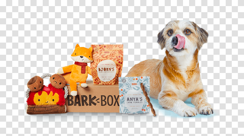 Bark Boxes, Dog, Pet, Canine, Animal Transparent Png