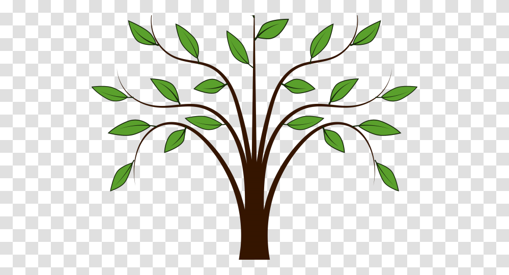 Bark Clipart Animated Tree, Plant, Floral Design, Pattern Transparent Png