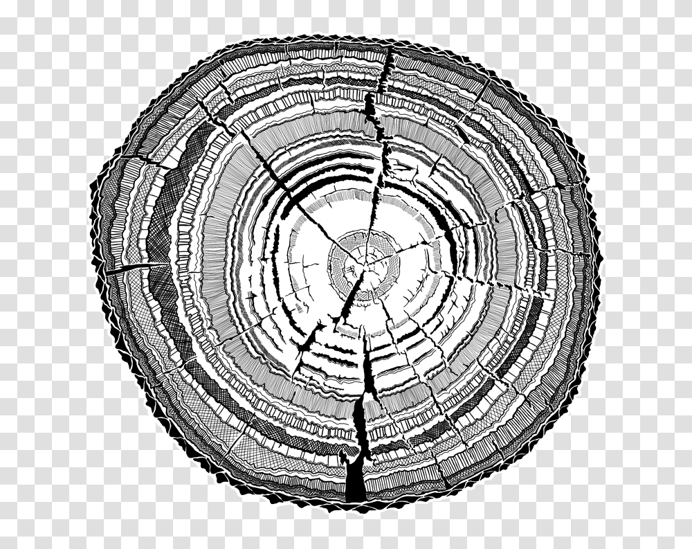 Bark Drawing Mbuti Black And White Tree Ring, Tire, Lamp, Spiral Transparent Png