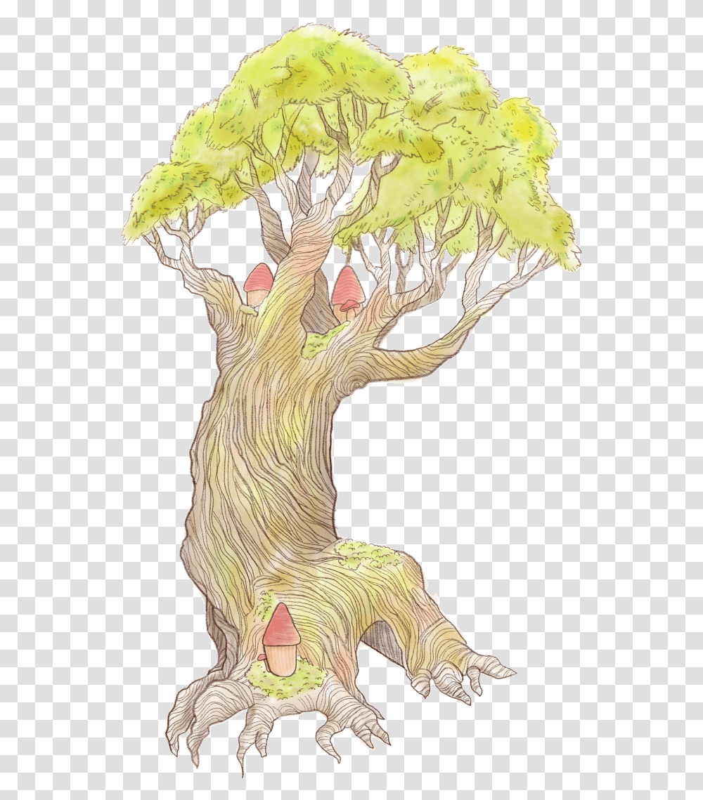 Bark Thickness Linked To Tree Death In Amazon Wildfires Illustration, Wood, Tree Stump, Plant, Bird Transparent Png