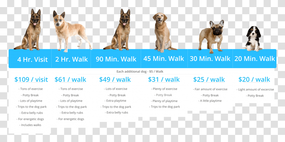 Barkbud Pricing Table Guard Dog, Advertisement, Golden Retriever, Pet, Canine Transparent Png