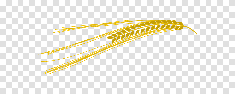 Barley Nature, Outdoors, Weapon Transparent Png