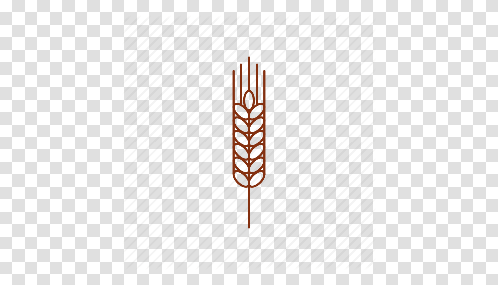 Barley Beer Cereal Ear Malt Wheat Icon, Spiral, Coil Transparent Png