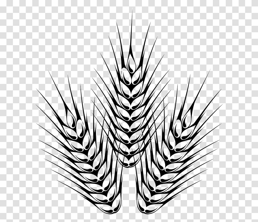 Barley Drawing Easy For Free Download, Spider Web, Pineapple, Fruit, Plant Transparent Png