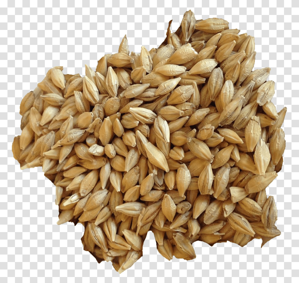 Barley Grain Hd Image Barley Background, Plant, Vegetable, Food, Wheat Transparent Png