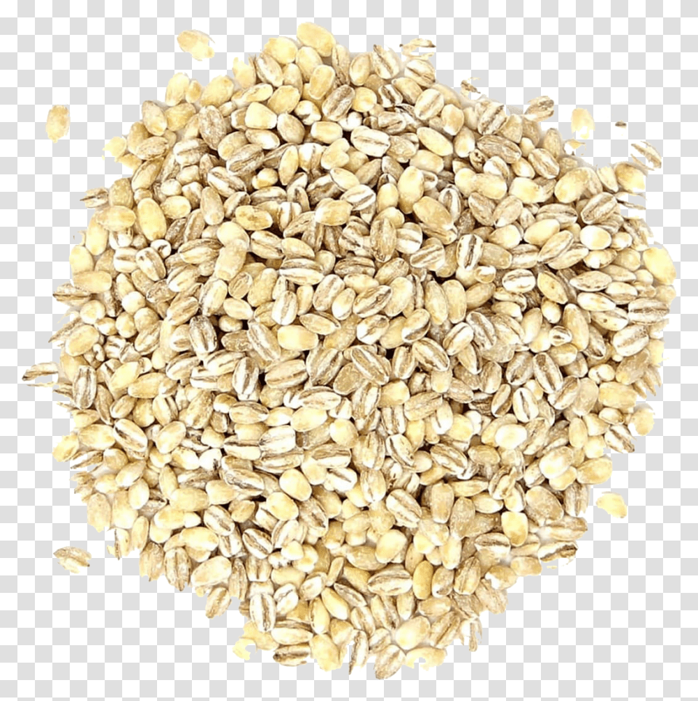 Barley Grain Pic Hulled Barley, Plant, Rug, Food, Wheat Transparent Png