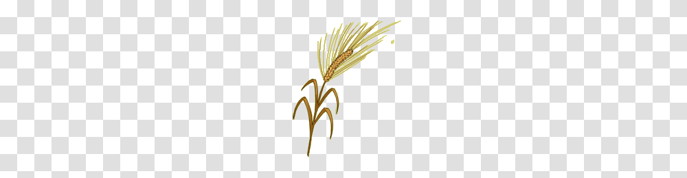 Barley Howrse Wiki Fandom Powered, Plant, Vegetable, Food, Produce Transparent Png