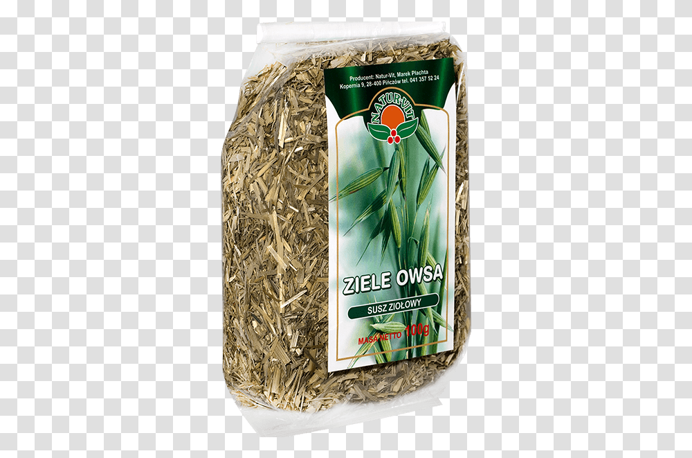 Barley, Plant, Jar, Herbal, Herbs Transparent Png