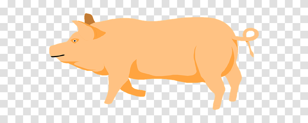 Barn Animals, Pig, Mammal, Hog Transparent Png