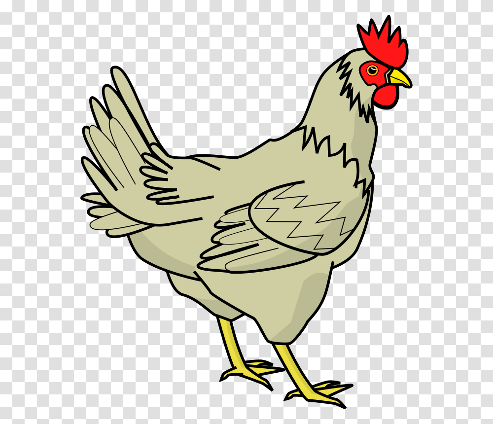Barn Animal Cliparts, Poultry, Fowl, Bird, Chicken Transparent Png