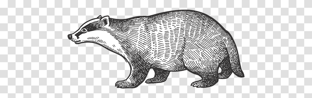 Barn Dei Mona Possum Animales De Europa Dibujos, Mammal, Wildlife, Bird, Pottery Transparent Png