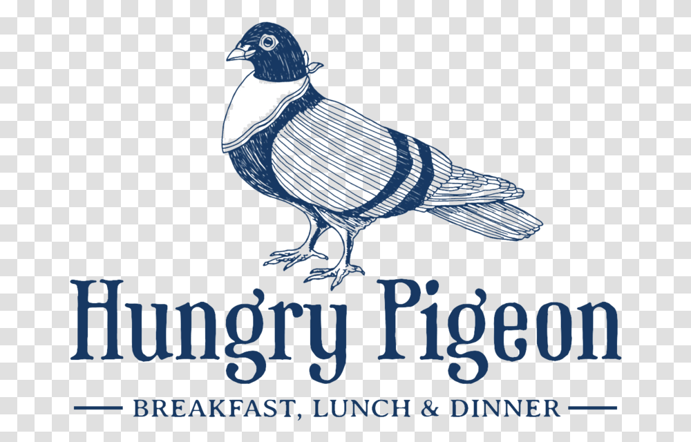 Barn Download Hungry Pigeon, Bird, Animal, Vulture Transparent Png