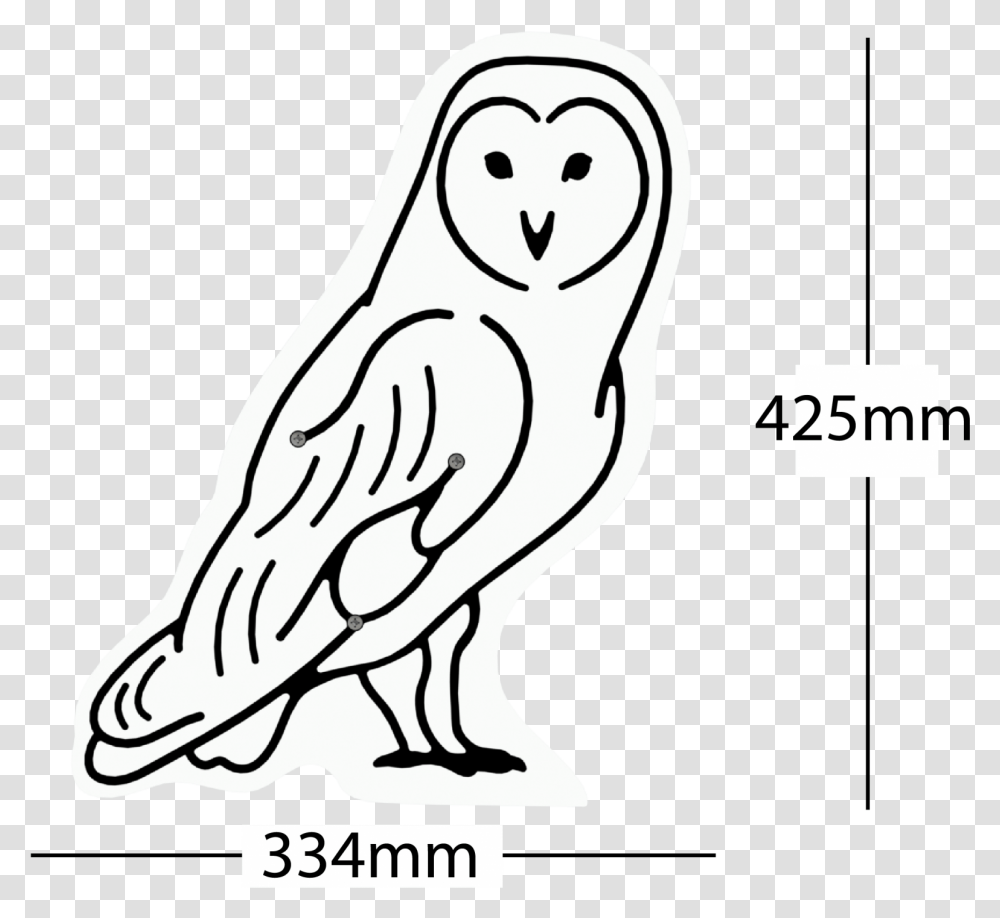 Barn Owl Animal Faces A E Evans Soft, Bird Transparent Png