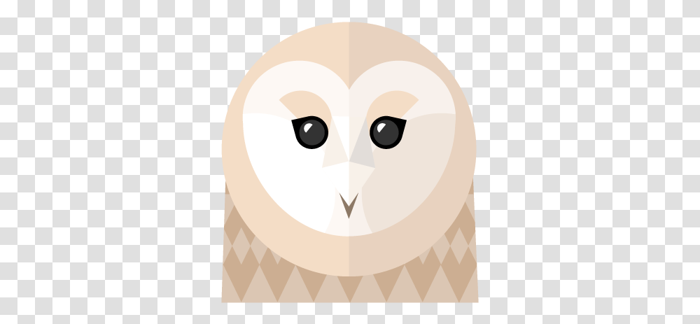 Barn Owl, Bird, Animal, Beak Transparent Png