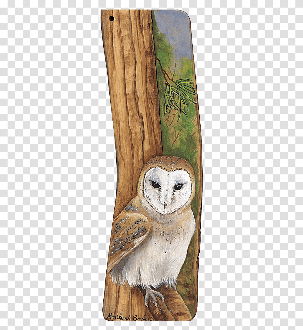 Barn Owl, Bird, Animal, Plant, Tree Transparent Png