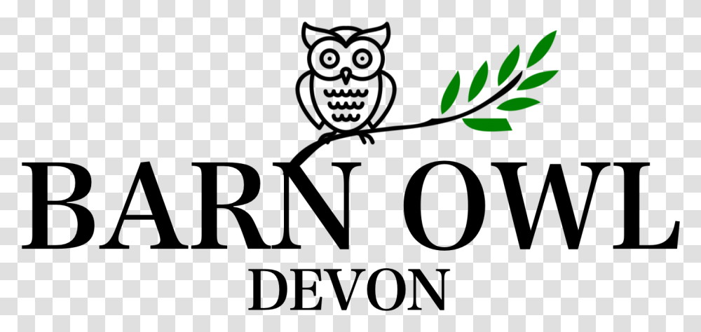 Barn Owl Cartoon, Plant, Outdoors, Green, Flower Transparent Png