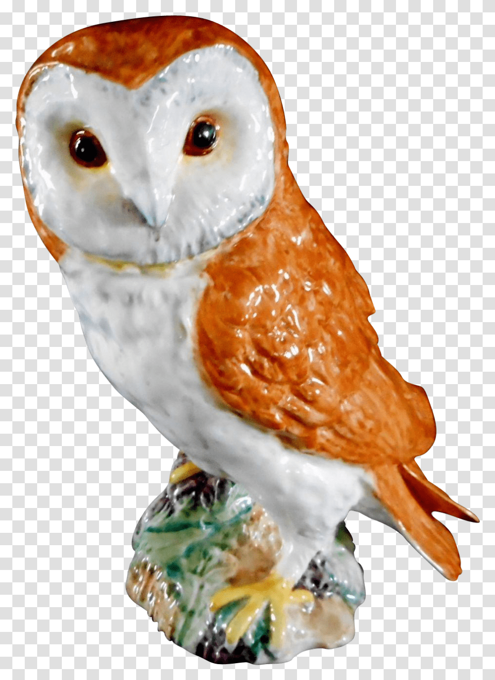 Barn Owl, Chicken, Poultry, Fowl, Bird Transparent Png