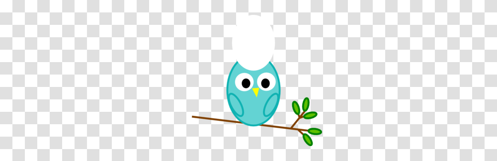 Barn Owl Clipart Face Transparent Png