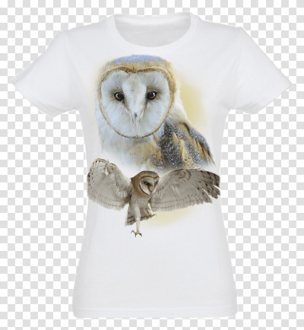 Barn Owl, Apparel, Animal, Bird Transparent Png