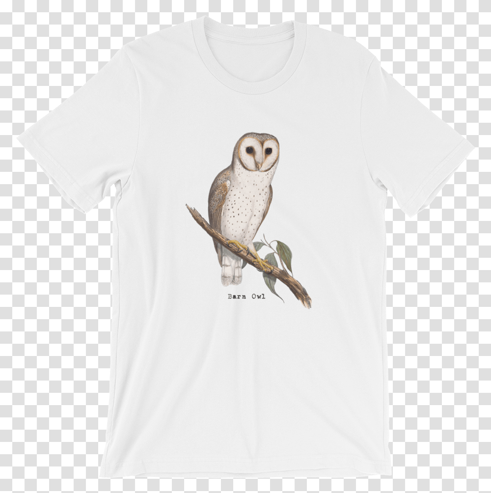 Barn Owl, Apparel, Bird, Animal Transparent Png