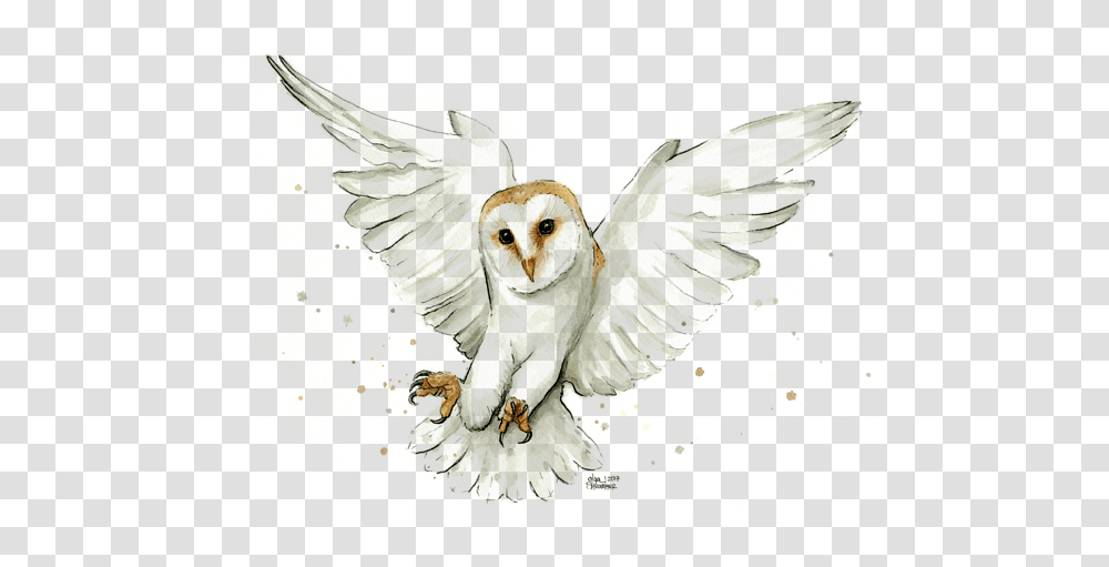 Barn Owl Flying Watercolor Onesie For Barn Owl Watercolor, Bird, Animal, Art Transparent Png