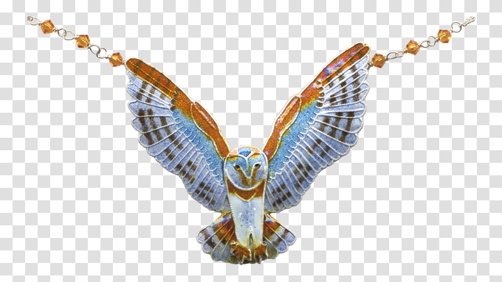 Barn Owl Golden Eagle, Flying, Bird, Animal, Kite Bird Transparent Png