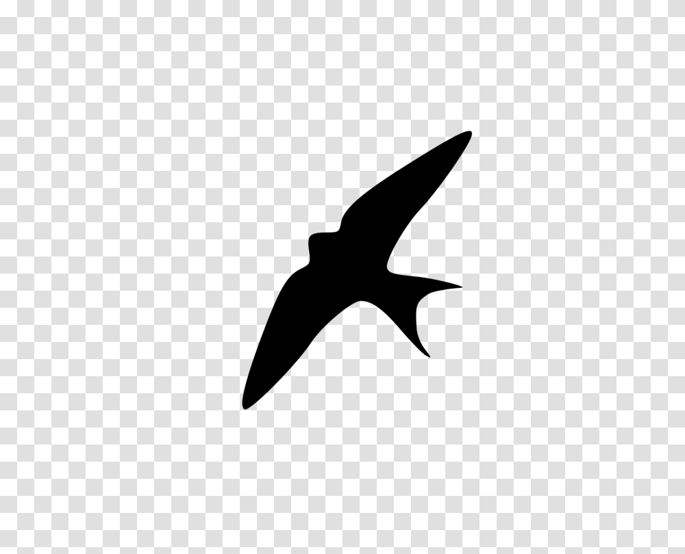 Barn Swallow Silhouette Bird Wing, Gray, World Of Warcraft Transparent Png