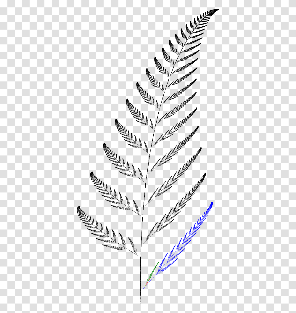 Barnsley Fern Funktion4 Barnsley Kapradi, Light, Gray, Outdoors Transparent Png