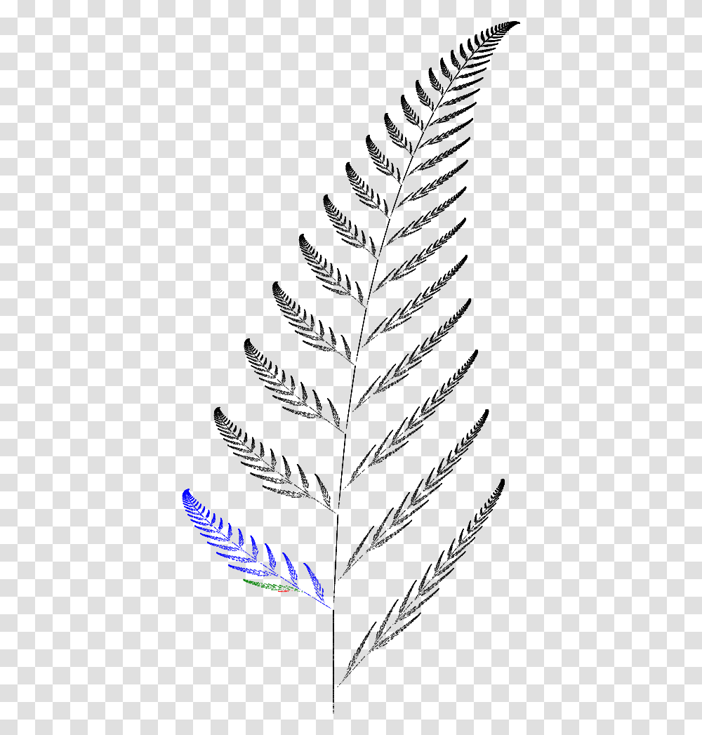 Barnsley Fern, Gray, Outdoors, World Of Warcraft Transparent Png