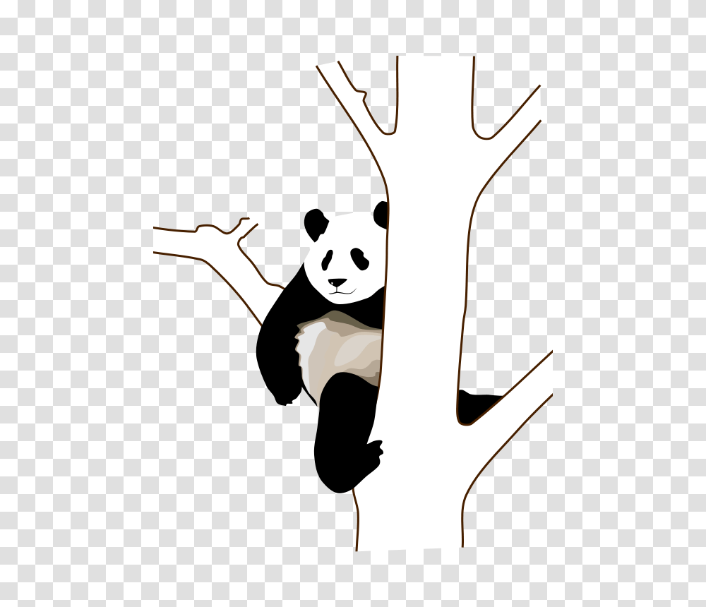 Baronchon Giant Panda, Nature, Person, Stencil, Hand Transparent Png