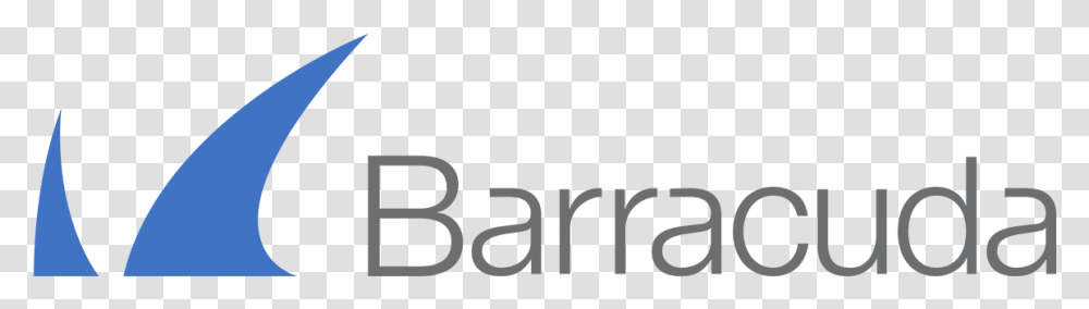 Barracuda Logo, Number, Alphabet Transparent Png