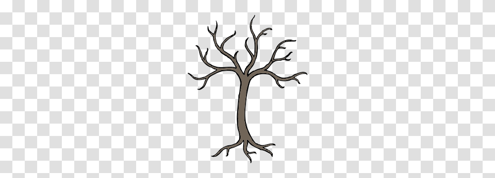 Barren Tree Clipart Dn Stencil Tree Clipart, Plant, Root, Tree Trunk, Oak Transparent Png