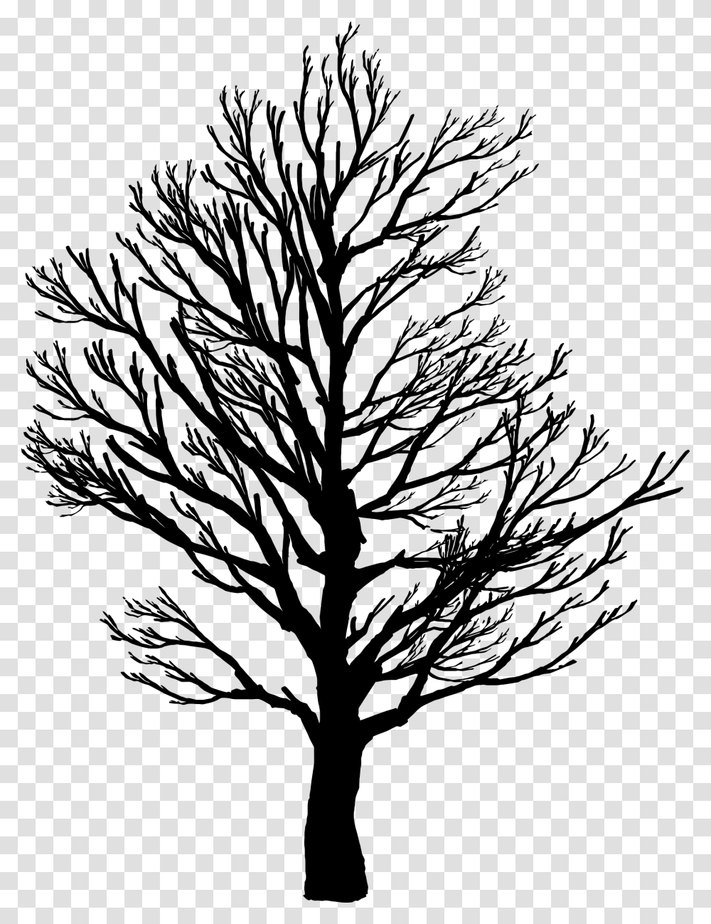 Barren Tree Silhouette Icons, Gray, World Of Warcraft Transparent Png
