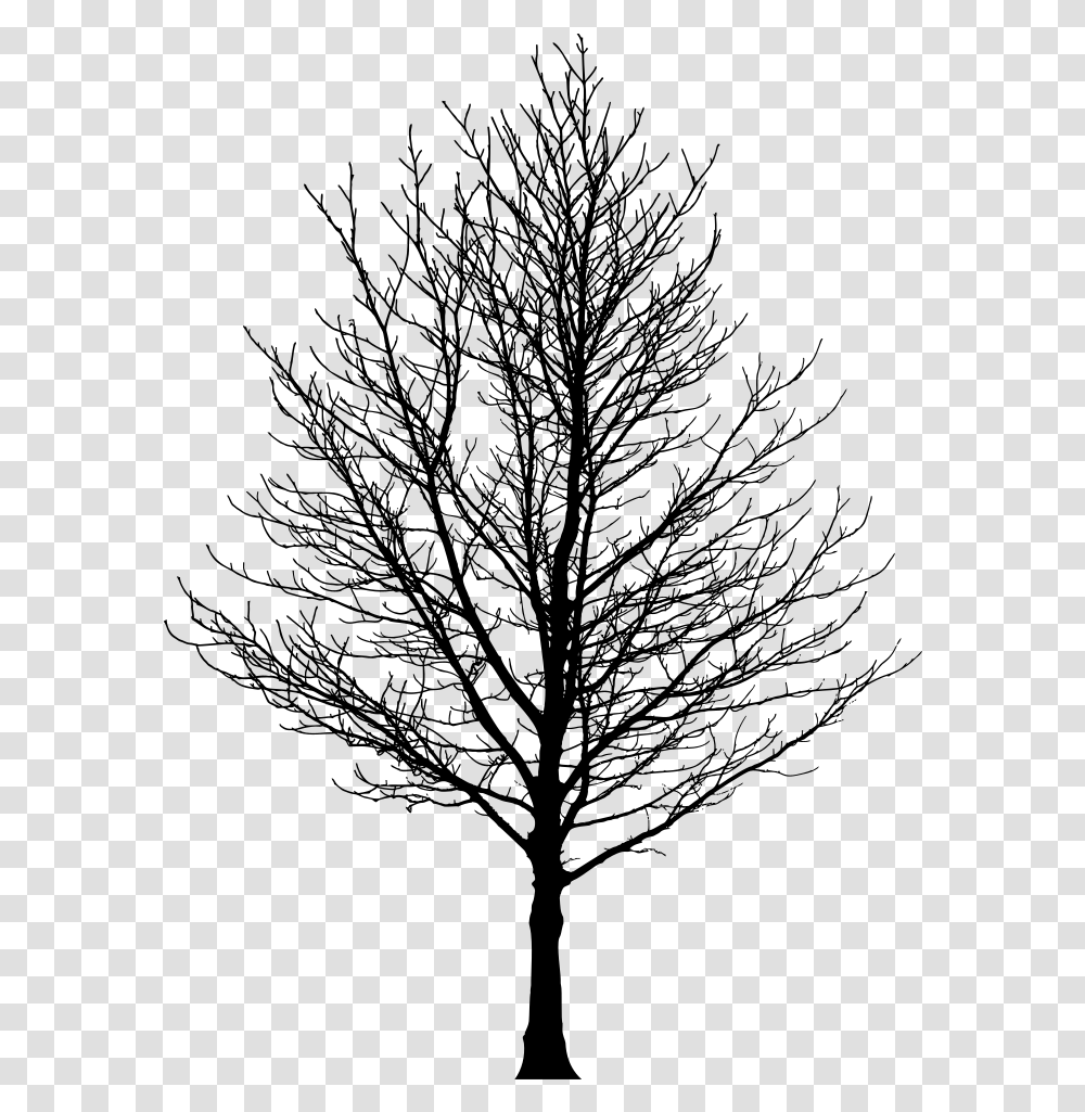 Barren Tree Silhouette Silhouette Of Trees, Gray, World Of Warcraft Transparent Png