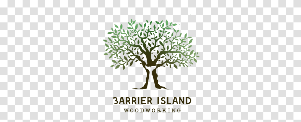 Barrier Island Woodworking Bam Art And Design Olive Tree Vector Large, Plant, Potted Plant, Vase, Jar Transparent Png