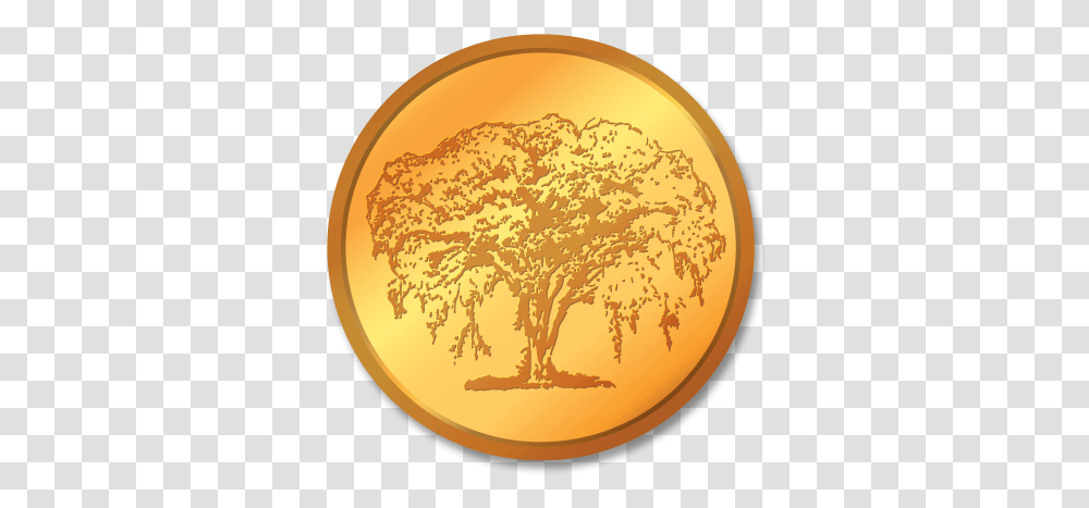 Bartlett Tree Experts Services Tree, Outdoors, Nature, Sun, Sky Transparent Png