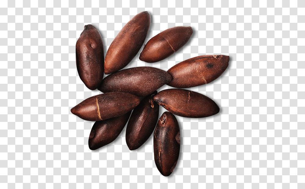 Barukas Nuts, Plant, Vegetable, Food, Grain Transparent Png