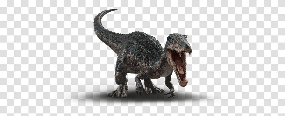 Baryonyx Velociraptor, Reptile, Animal, Dinosaur, T-Rex Transparent Png