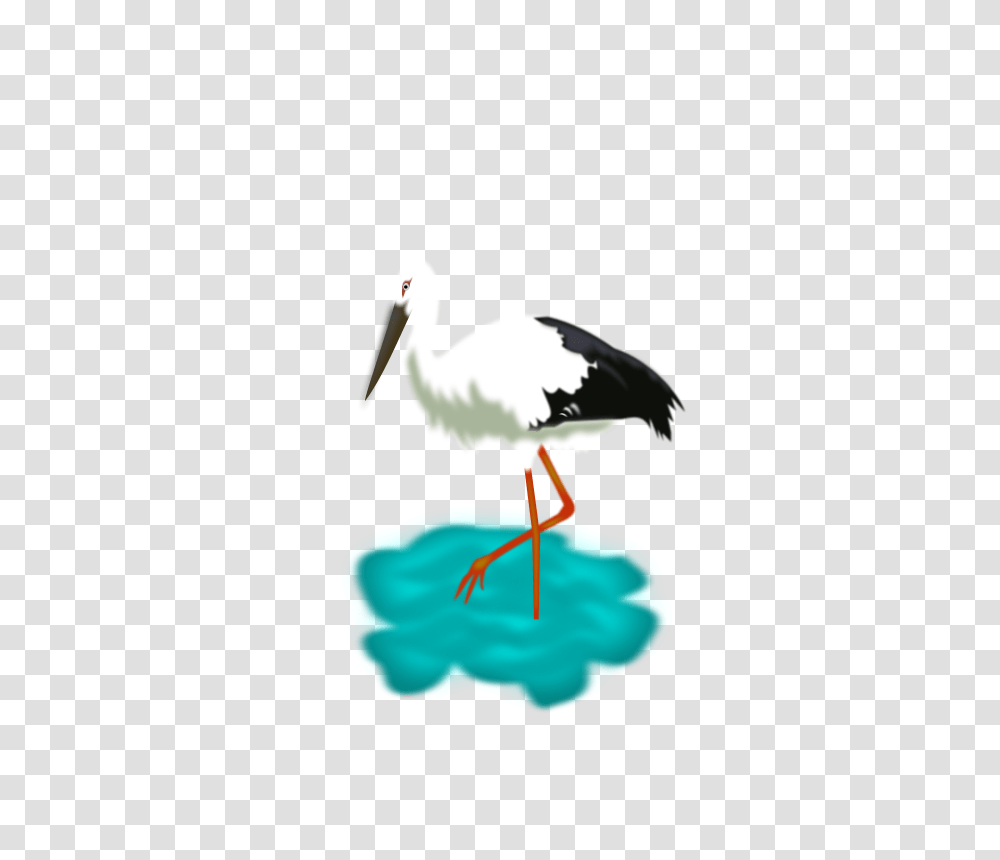 Barza, Nature, Bird, Animal, Stork Transparent Png