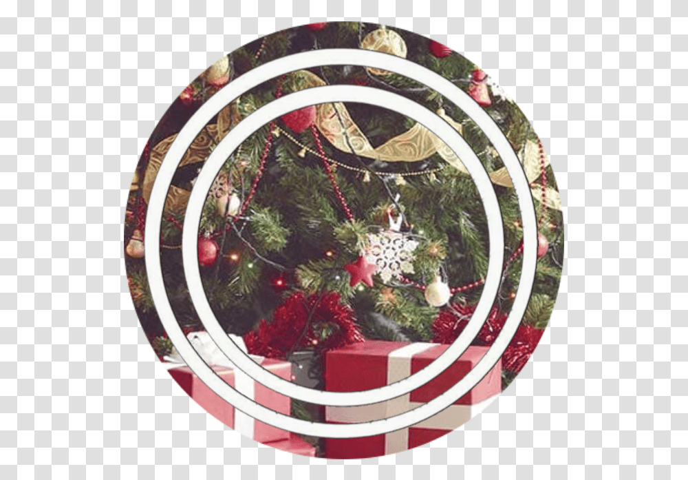 Base Christmas Icon Overlayicon Overlay Sticker By M For Holiday, Tree, Plant, Ornament, Christmas Tree Transparent Png