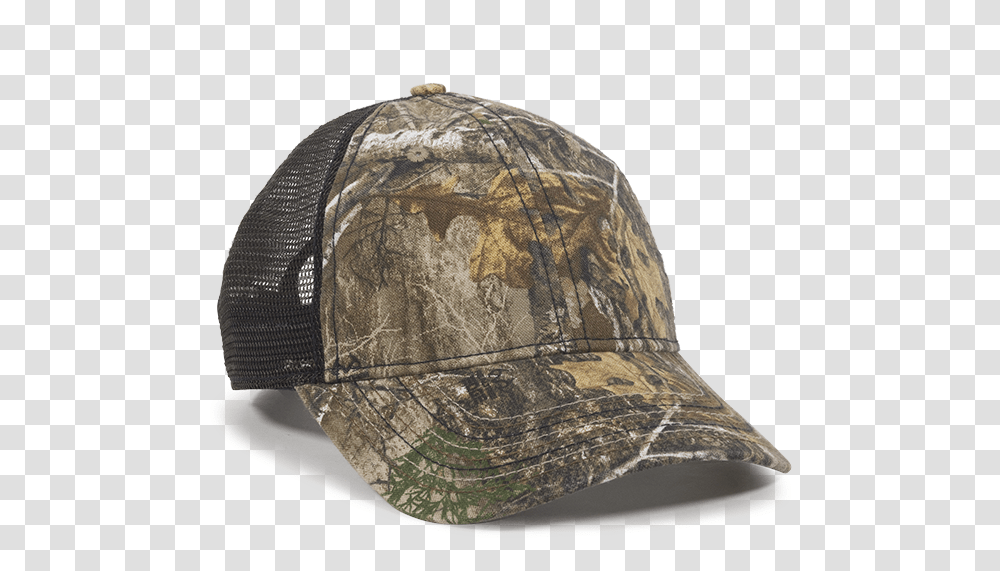 Baseball Cap, Apparel, Hat, Turtle Transparent Png