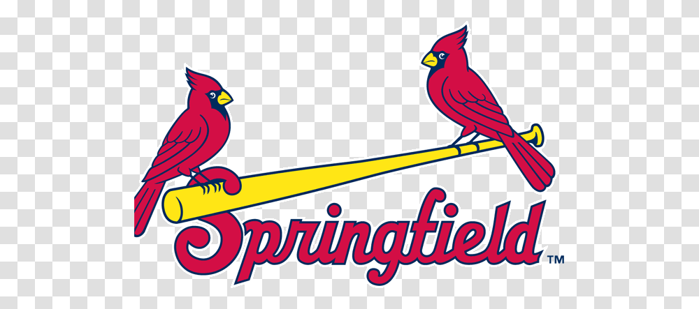 Baseball Clipart St Louis Cardinals, Bird, Animal Transparent Png