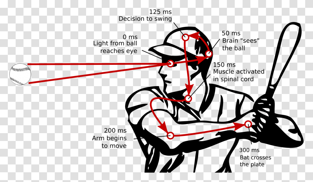 Baseball Plate Reaction Time In Sport Clip Art, Bow, Light, Laser Transparent Png