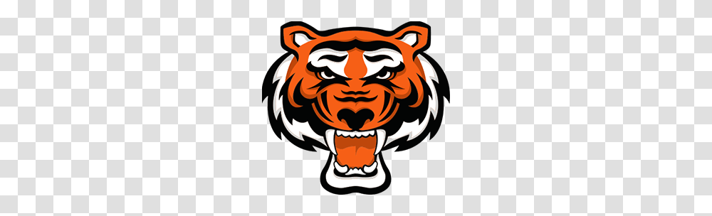 Baseball Tiger Cliparts, Pirate, Face, Emblem Transparent Png