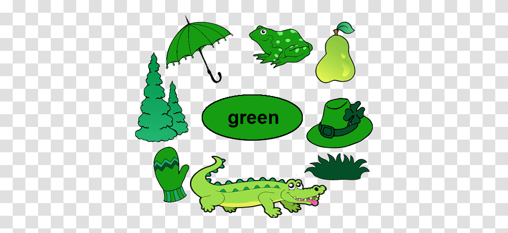 Basement Clipart Classroom, Reptile, Animal, Plant, Green Transparent Png