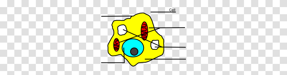 Basic Animal Cell Diagram Unlabeled Clip Art, Dynamite, Weapon, Weaponry, Hand Transparent Png