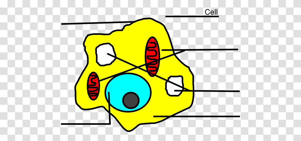 Basic Animal Cell Without Labels Clip Art, Diagram, Plot Transparent Png
